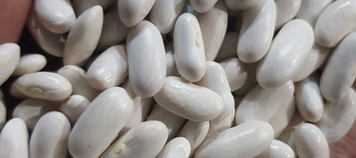 AL Yousef Company started its business
Since 2009