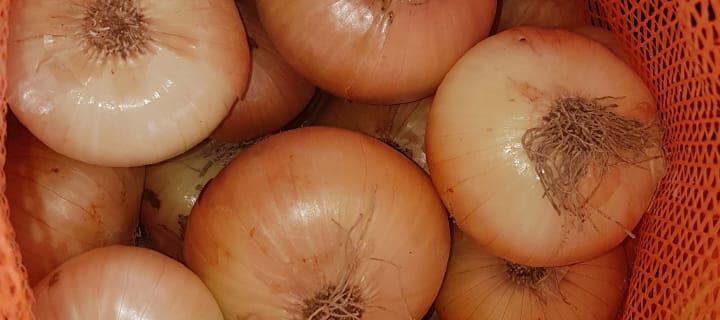 Alyousef company continued supplying it's products to the local market and the foreign markets with Exceptional Quality and Standards